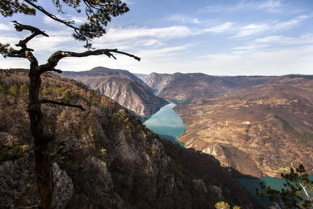 塔拉山上的班杰斯卡岩俯瞰塞尔维亚西部德雷纳河峡谷