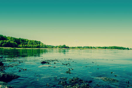 美丽的湖景