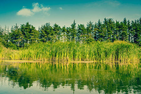 湖景