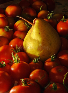 西红柿蔬菜，水果还是浆果