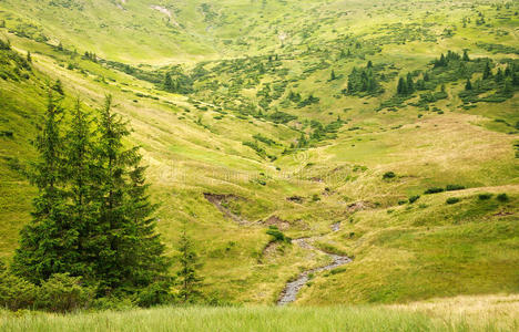 一个绿色的山，一个自然的风景