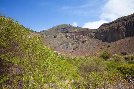 大加那利，班达玛火山口