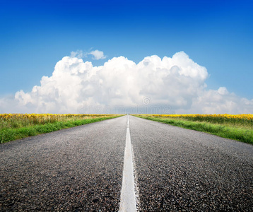 向日葵 远的 自然 路线 领域 风景 公路 天空 农业 夏天