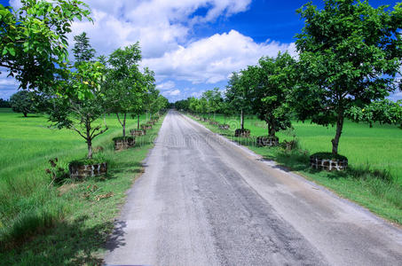 乡村公路