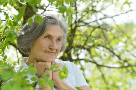 树枝旁的老妇人