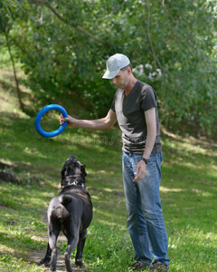 男人和狗训练图片