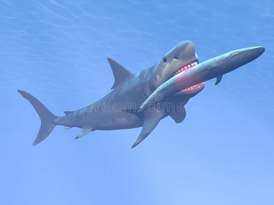 巨齿鲨吃蓝鲸3d渲染