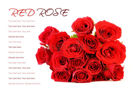 白底红玫瑰花束和示例文本