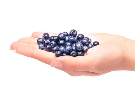 一把蓝莓