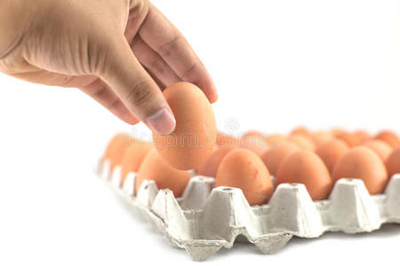 人的手拿着一个鸡蛋