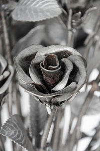 花用铁做的玫瑰是坚硬的