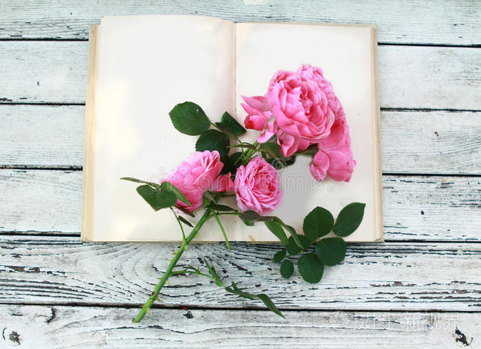 打开书本上的粉红玫瑰