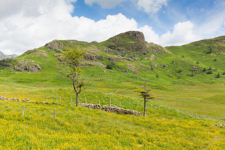 公司 假日 国家的 自然 英国 场景 乡村 国家 长矛 公园