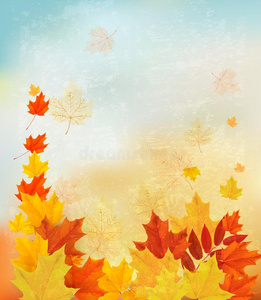 秋天的背景是五彩缤纷的树叶。