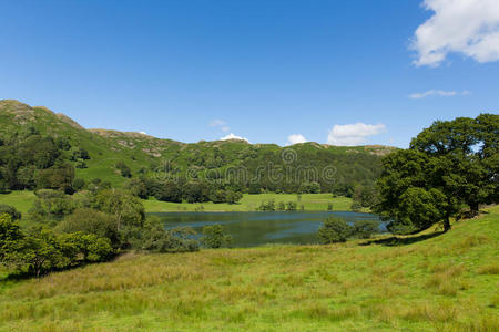 loughrigg tarn lake district cumbria england位于温德米尔北部和skelwith br