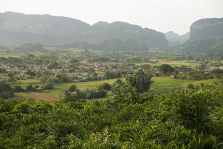 拉丁语 房屋 里约 世界 自然 植物区系 崎岖不平 山谷