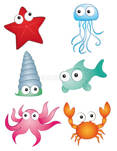 明星 动物 自然 对虾 水下 海洋生物 海洋 海怪 生物