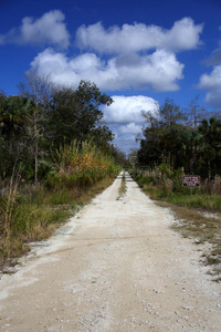 珍妮斯风景公路