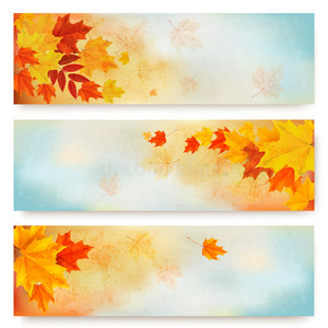 三幅抽象的彩叶秋旗。