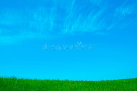 背景为草地和天空