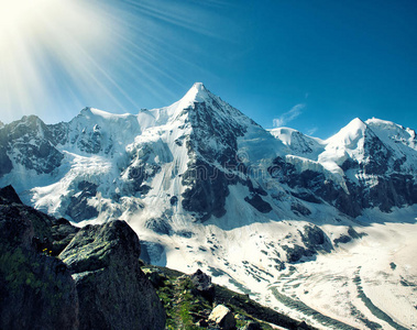 阿尔卑斯山