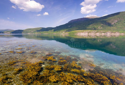 假期 美丽的 夏天 峡湾 北欧 斯堪的纳维亚 旅行 七月