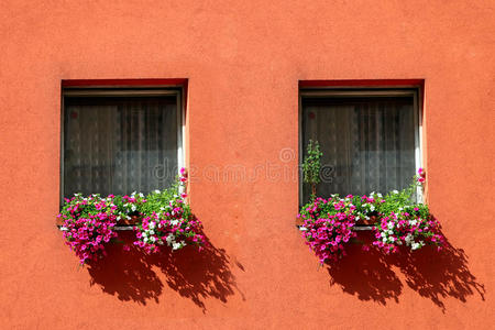 红色和粉红色花朵的窗户装饰