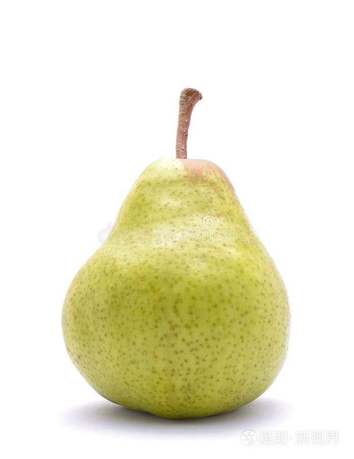 白底梨