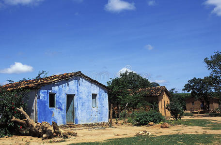 干旱巴伊亚巴西农村的房子.照片
