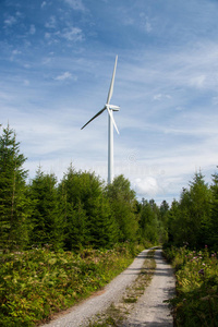 森林中的风力发电厂