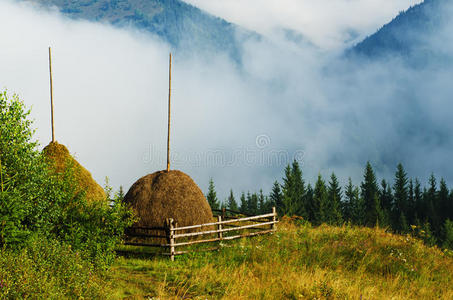 山景草垛