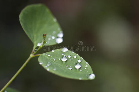 雨滴