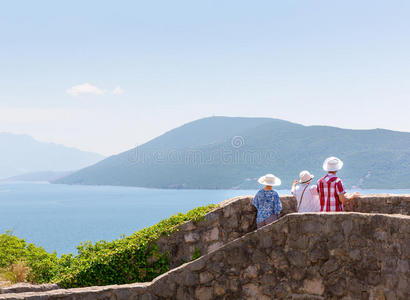 游客们正在欣赏风景