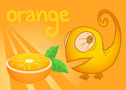 橙色卡片