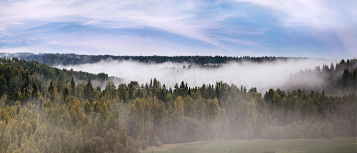 森林上空秋雾全景图
