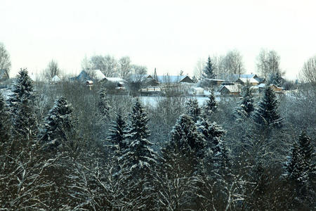 寒冬森林景观雪