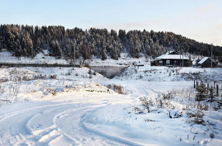 寒冷的冬季森林景观雪俄罗斯