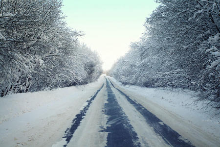 寒冷的冬季森林景观雪俄罗斯