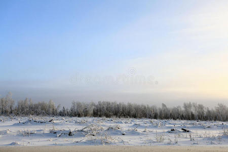 寒冬森林景观雪