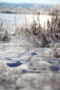 草覆满白霜herbe recouverte de givre