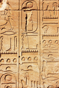 老埃及象形文字