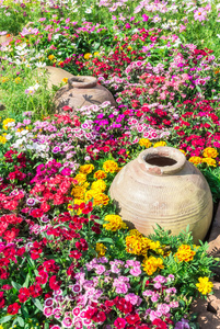 美丽的花卉园