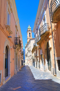 小巷。圣维罗。普利亚大区。意大利
