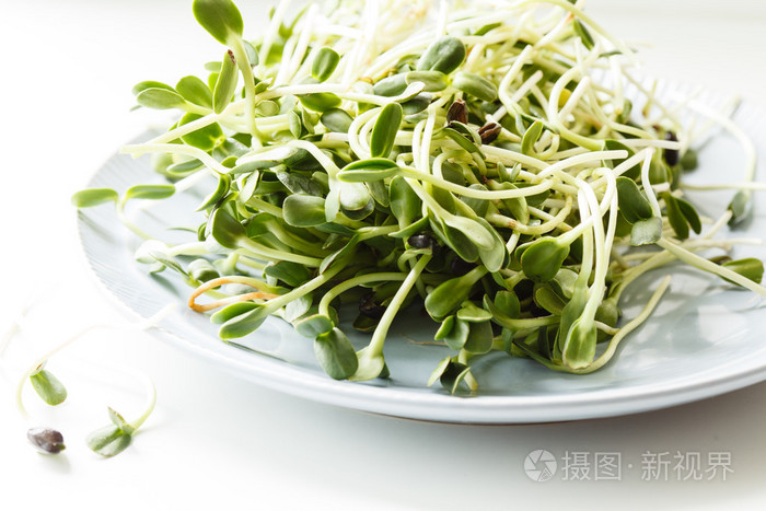 在板上的向日葵芽照片 正版商用图片1i6sh6 摄图新视界