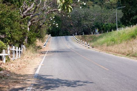 字段和森林的道路