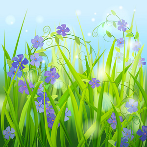 绛野生紫绛照片