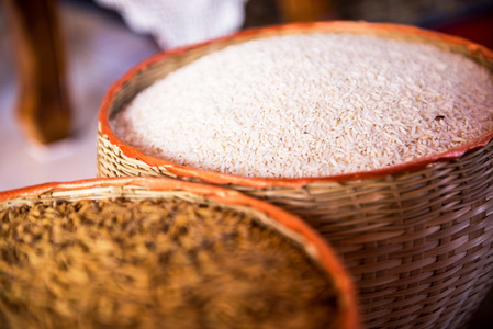 水稻稻与水稻