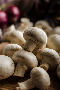 蘑菇原料自产