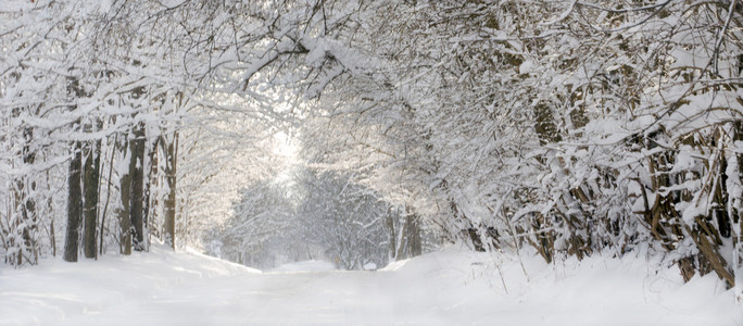 雪全景