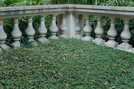 欧式风格石膏篱笆的花园里图片